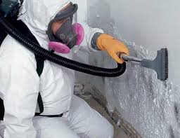 Best Residential Mold Inspection & Testing  in Willmsburg, IA